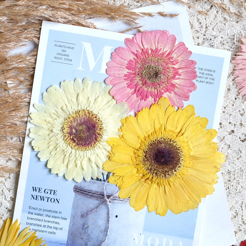 1pcs/7-9cm,Pressed Gerbera Dri - огляд і ціна Resin Art Sticker
