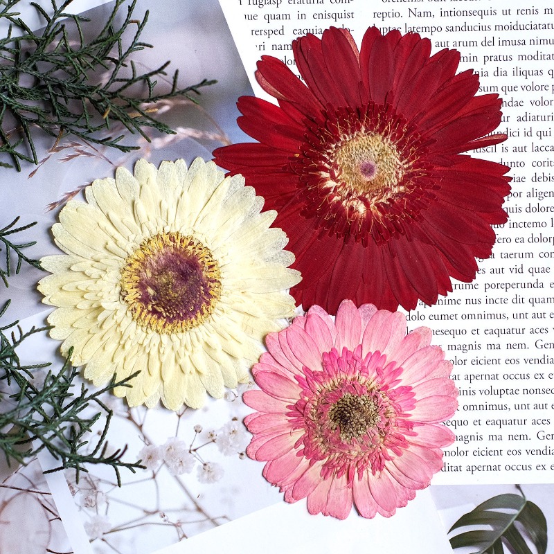 1pcs/7-9cm,Pressed Gerbera Dri - огляд і ціна Resin Art Sticker