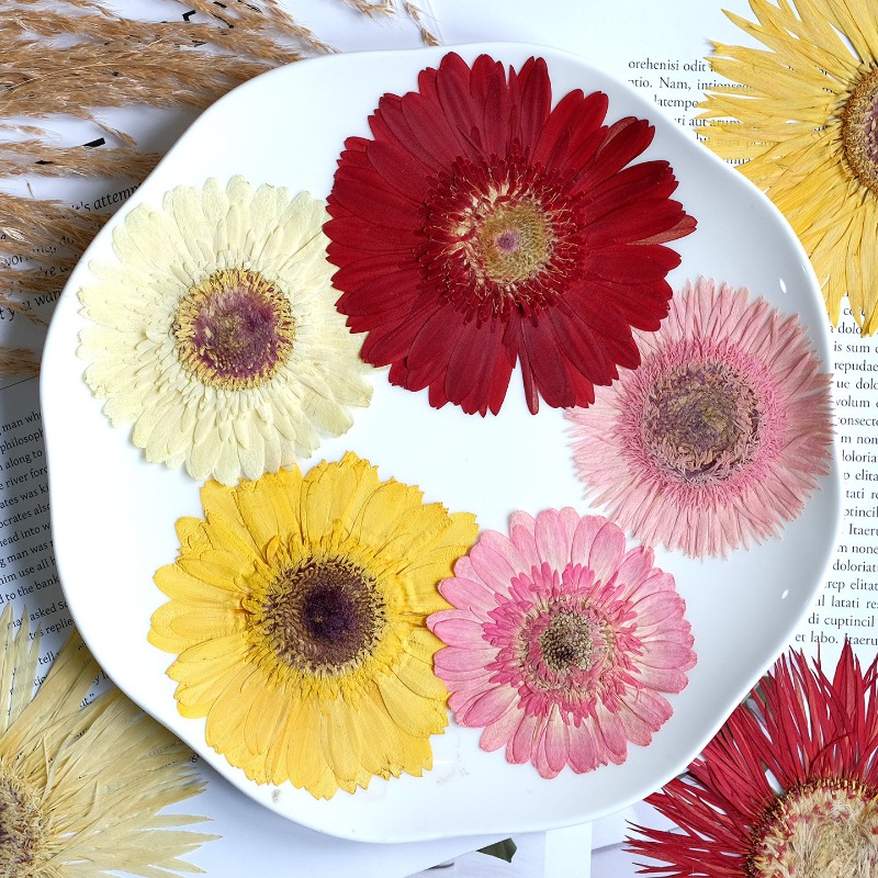 1pcs/7-9cm,Pressed Gerbera Dri - огляд і ціна Resin Art Sticker